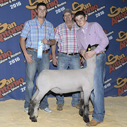 Winners