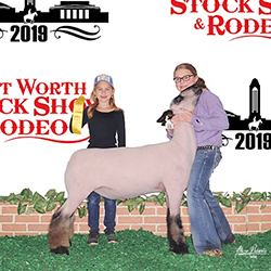 Rockin C Club Lambs Winners