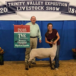 Rockin C Club Lambs Winners