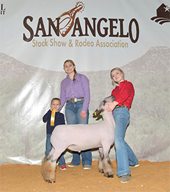 Grand Champion
2023 Hemphill County Show
