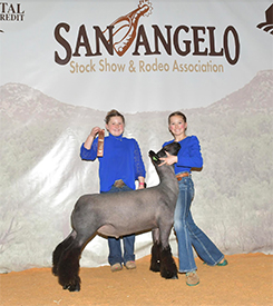 Grand Champion
2023 Hemphill County Show